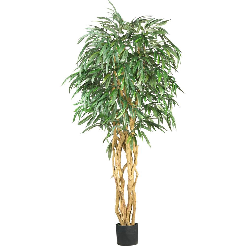 6ft. Weeping Ficus Silk Tree. Picture 1