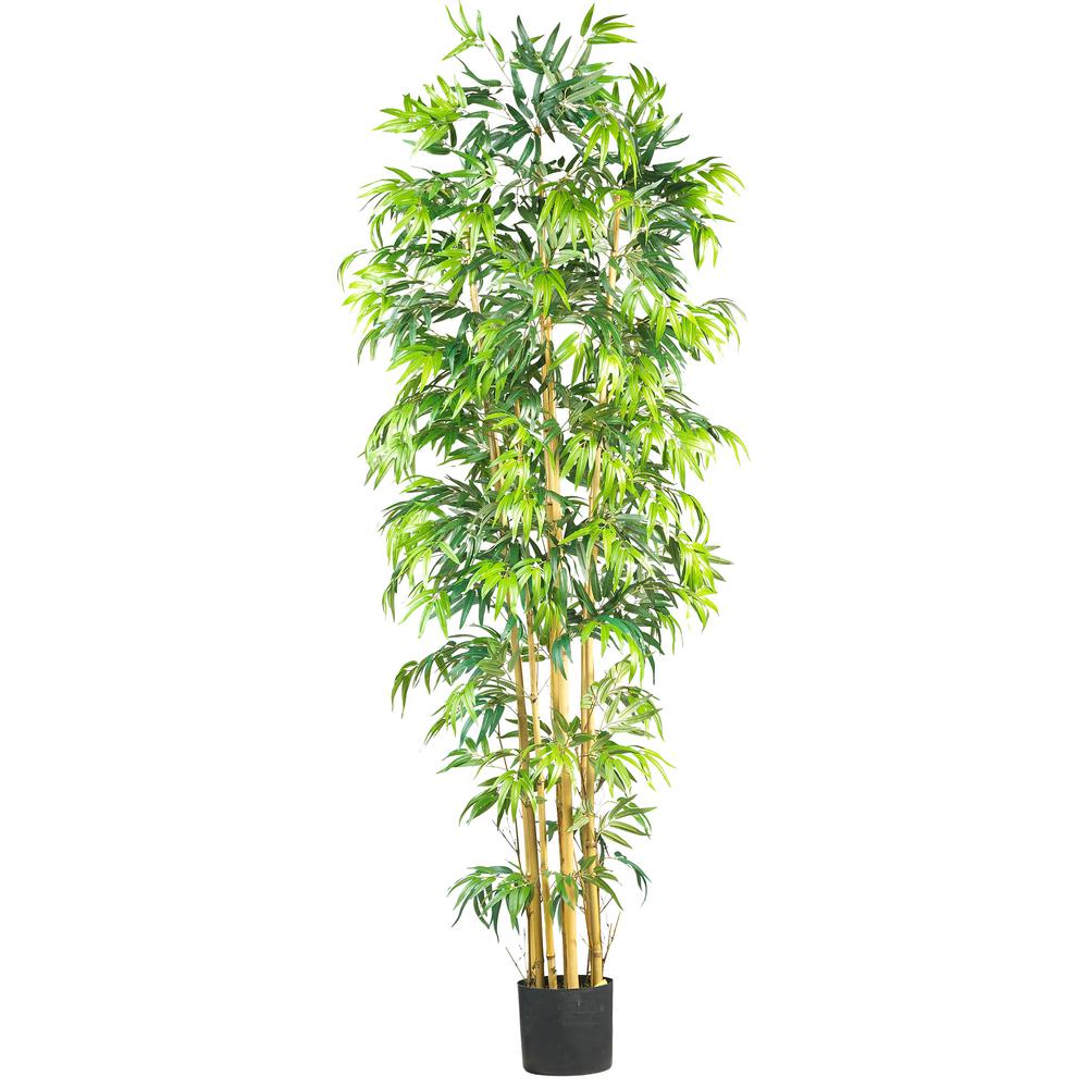 7ft. Bambusa Bamboo Silk Tree. Picture 1