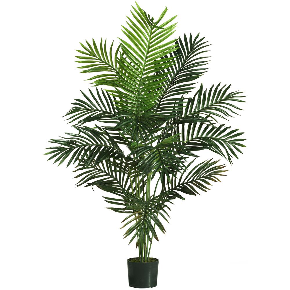 5ft. Paradise Palm. Picture 1