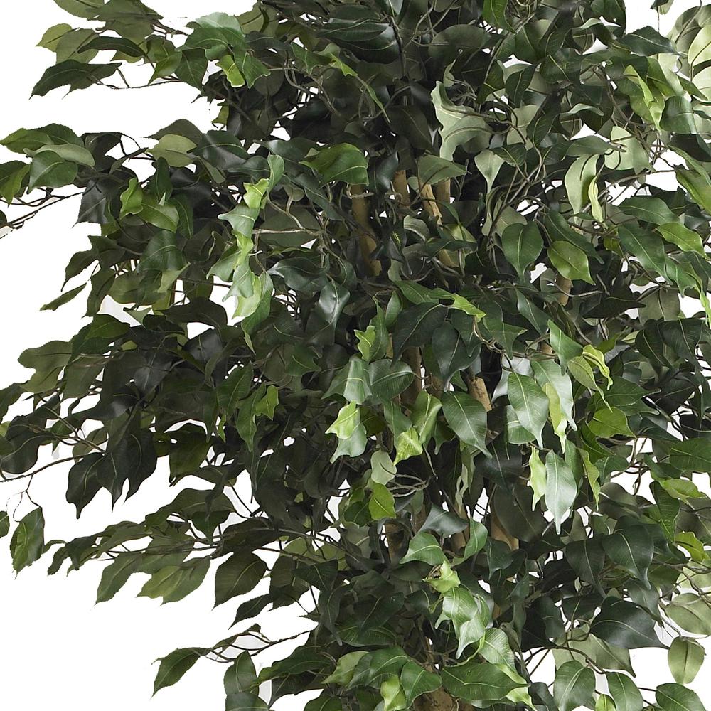 6ft. Double Ball Ficus Silk Tree. Picture 3