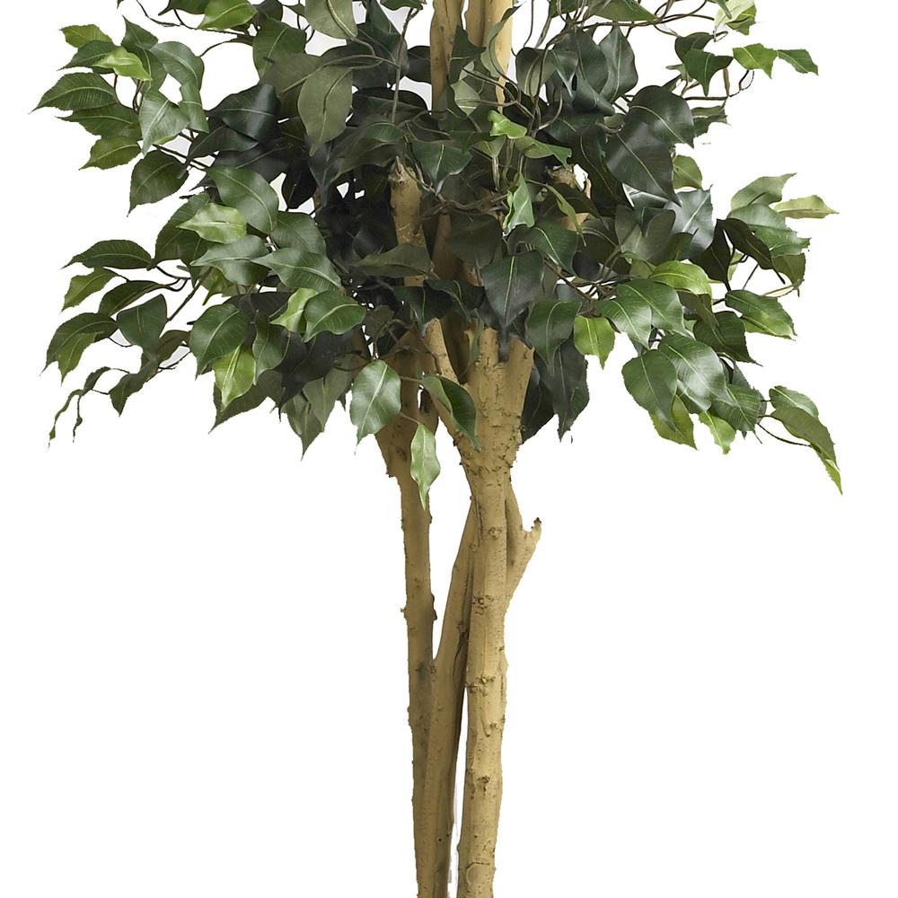 6ft. Double Ball Ficus Silk Tree. Picture 5