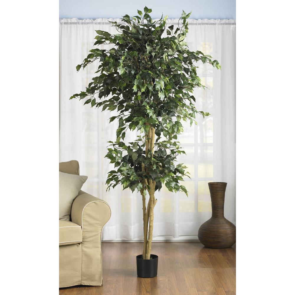 6ft. Double Ball Ficus Silk Tree. Picture 2