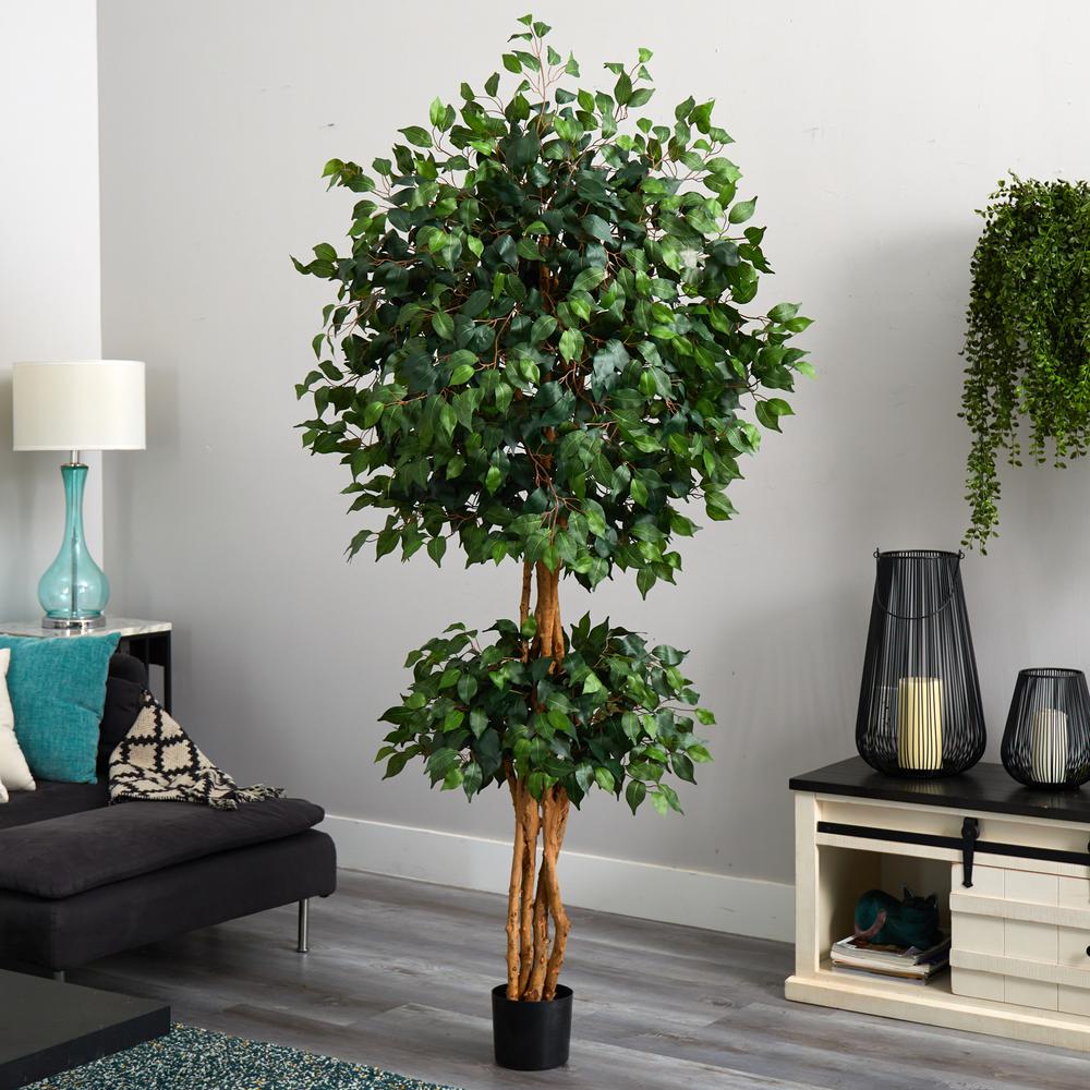 6ft. Double Ball Ficus Silk Tree. Picture 6