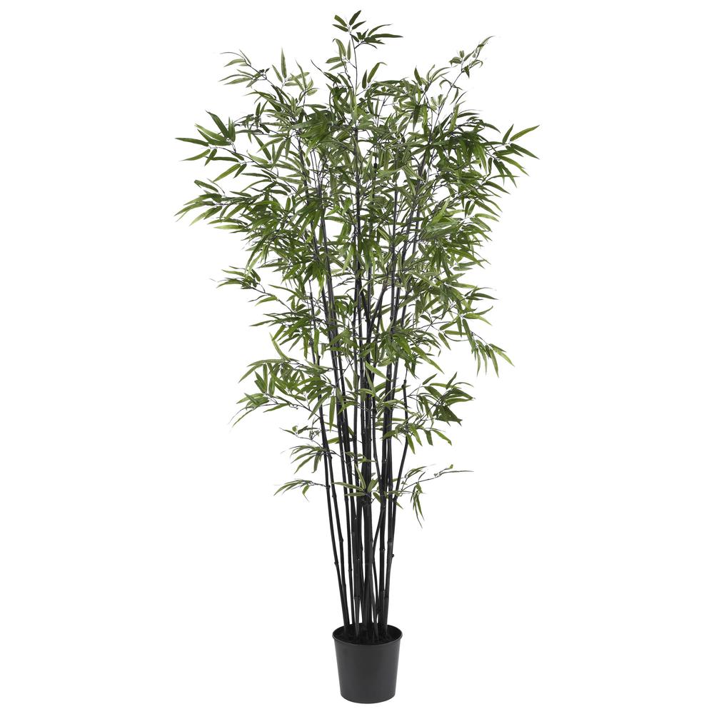 6.5ft. Black Bamboo Silk Tree. Picture 1