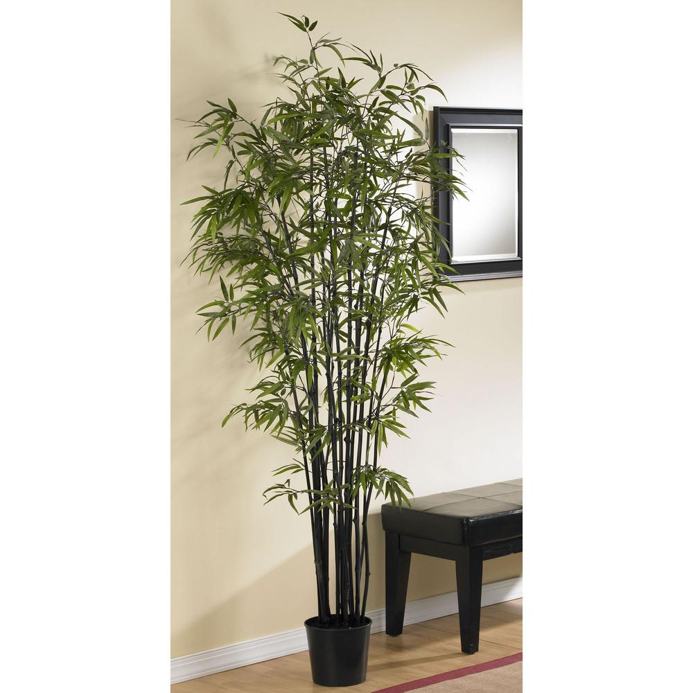 6.5ft. Black Bamboo Silk Tree. Picture 4