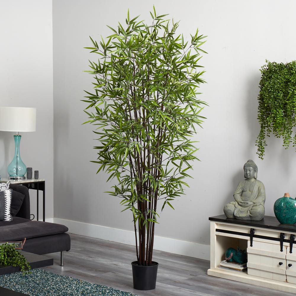 6.5ft. Black Bamboo Silk Tree. Picture 3