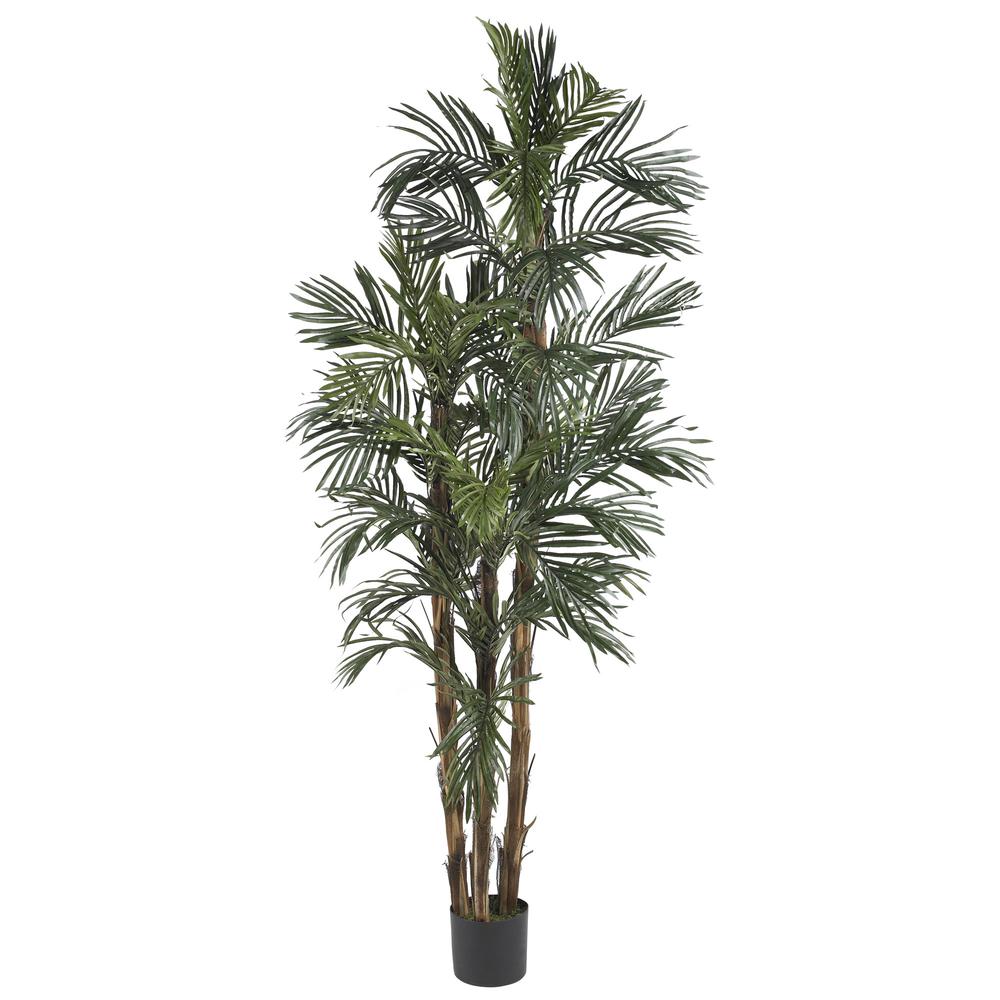 6ft. Robellini Palm Silk Tree. Picture 1