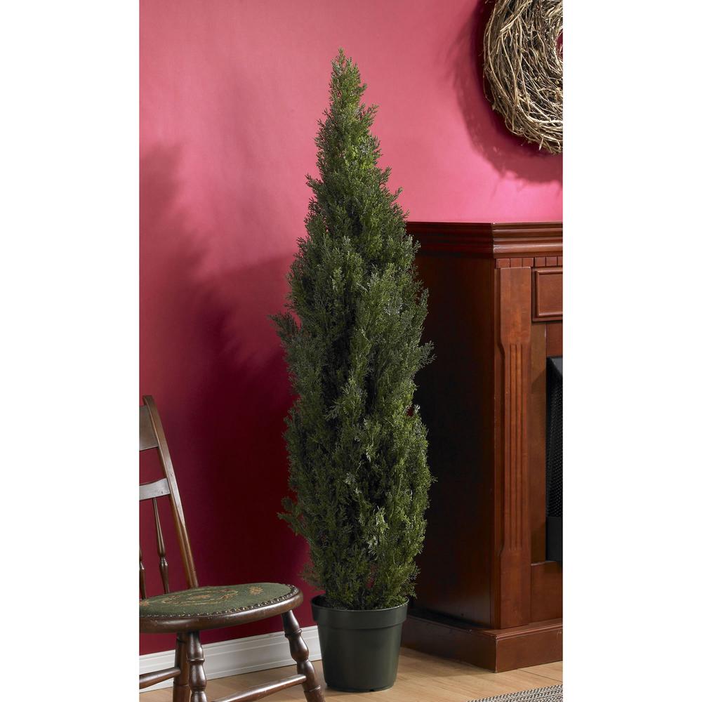 5ft. Mini Cedar Pine Tree (Indoor/Outdoor). Picture 3