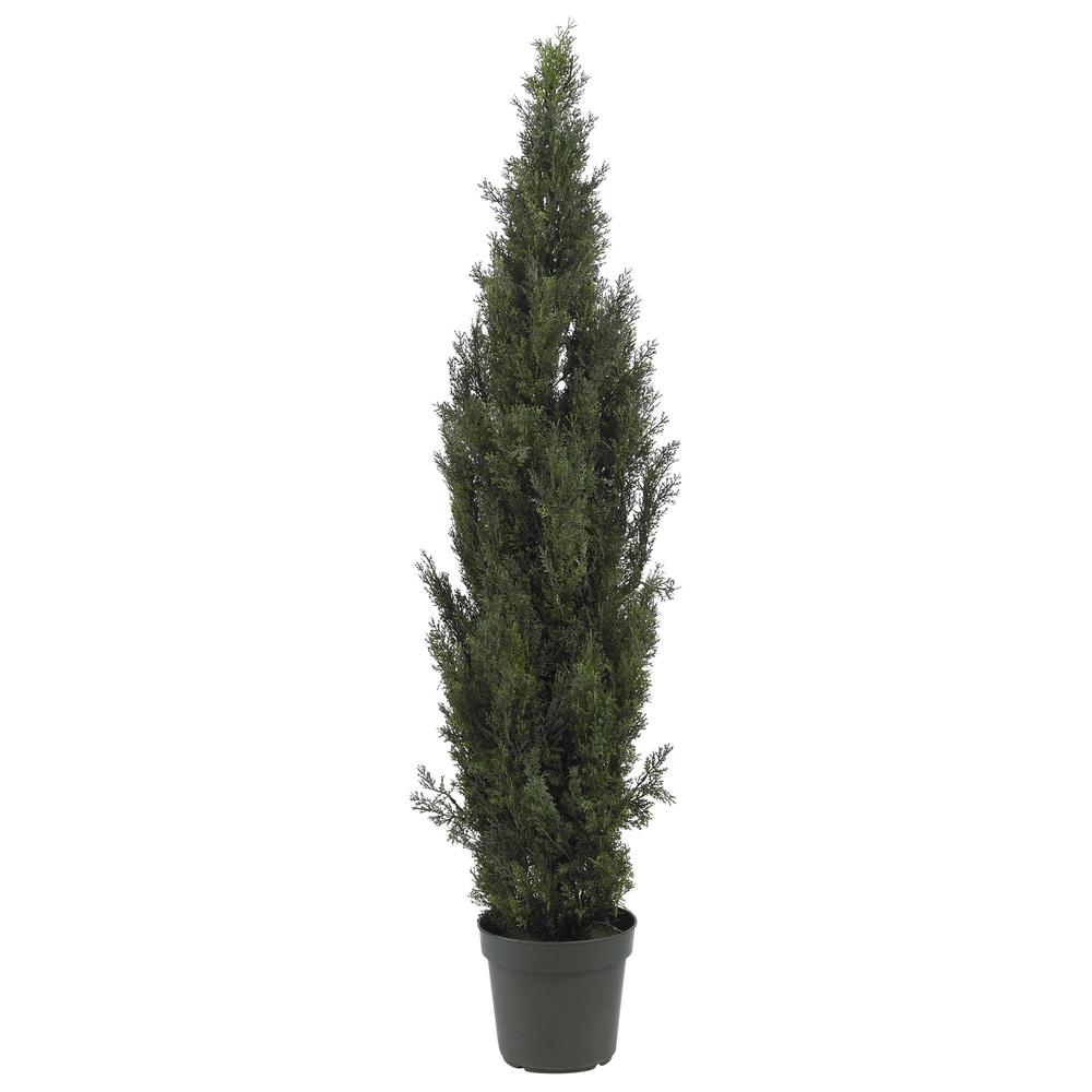 6ft. Mini Cedar Pine Tree (Indoor/Outdoor). Picture 1