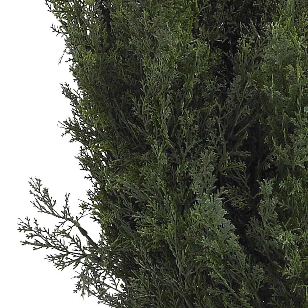 6ft. Mini Cedar Pine Tree (Indoor/Outdoor). Picture 2