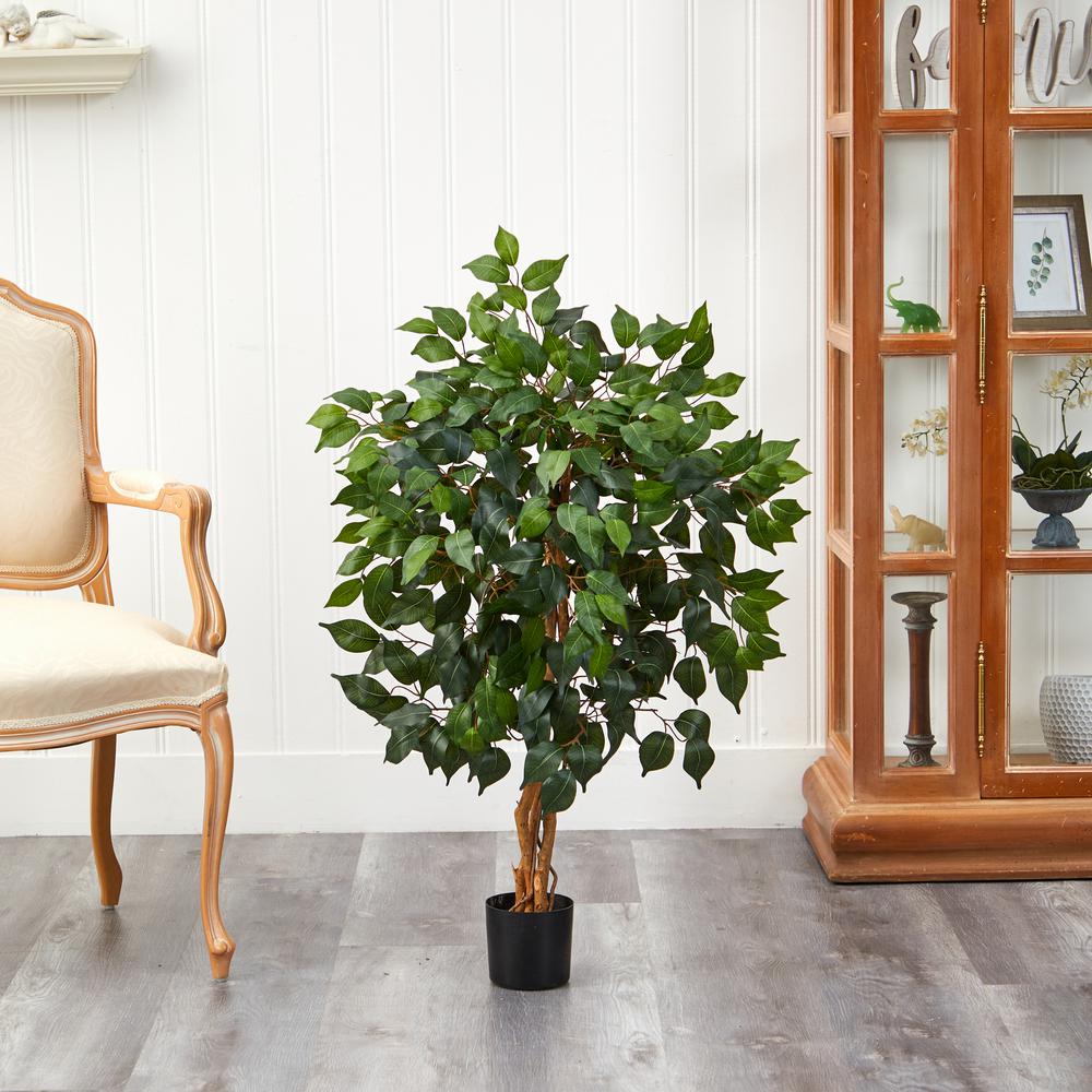 3ft. Ficus Silk Tree. Picture 6