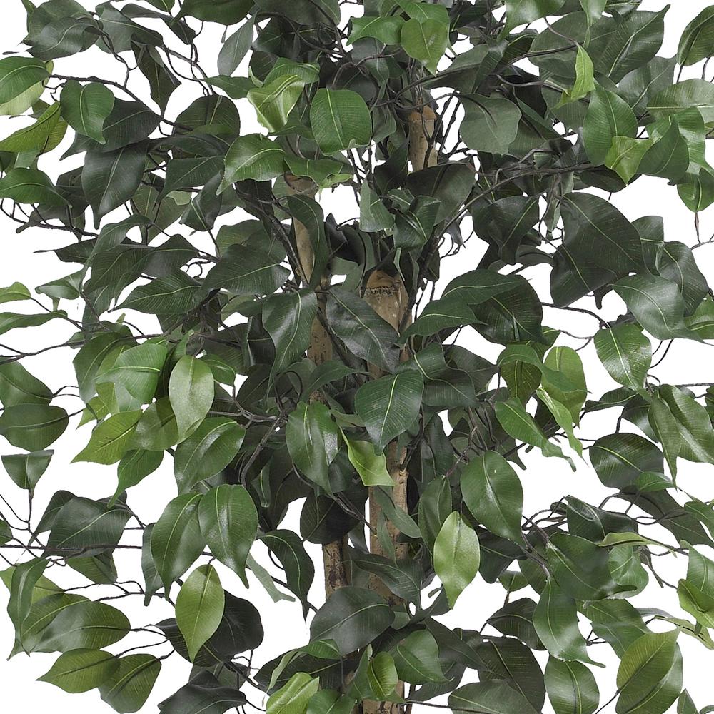 4ft. Ficus Silk Tree, Green. Picture 6