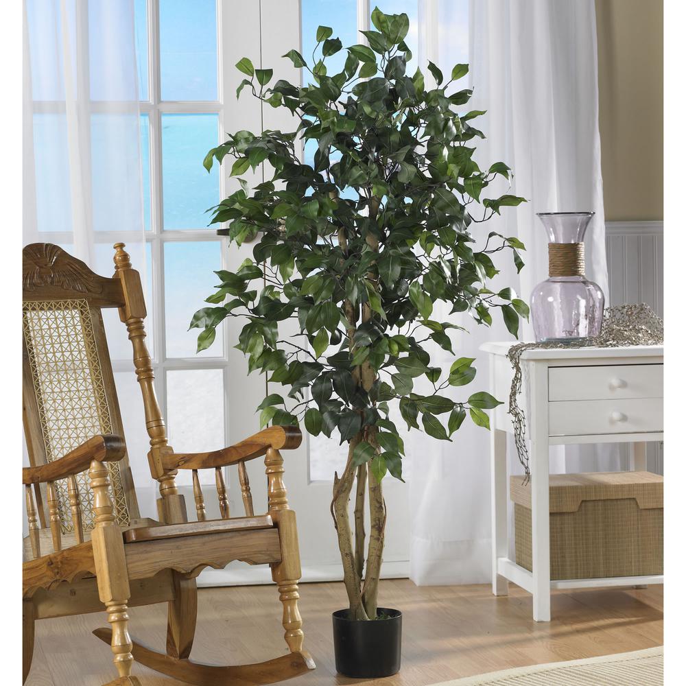 4ft. Ficus Silk Tree, Green. Picture 3