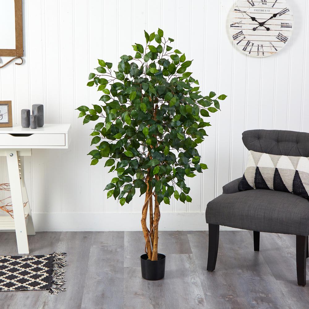 4ft. Ficus Silk Tree, Green. Picture 4