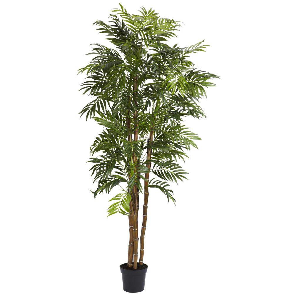 6ft. Bella Palm Silk Tree. Picture 1