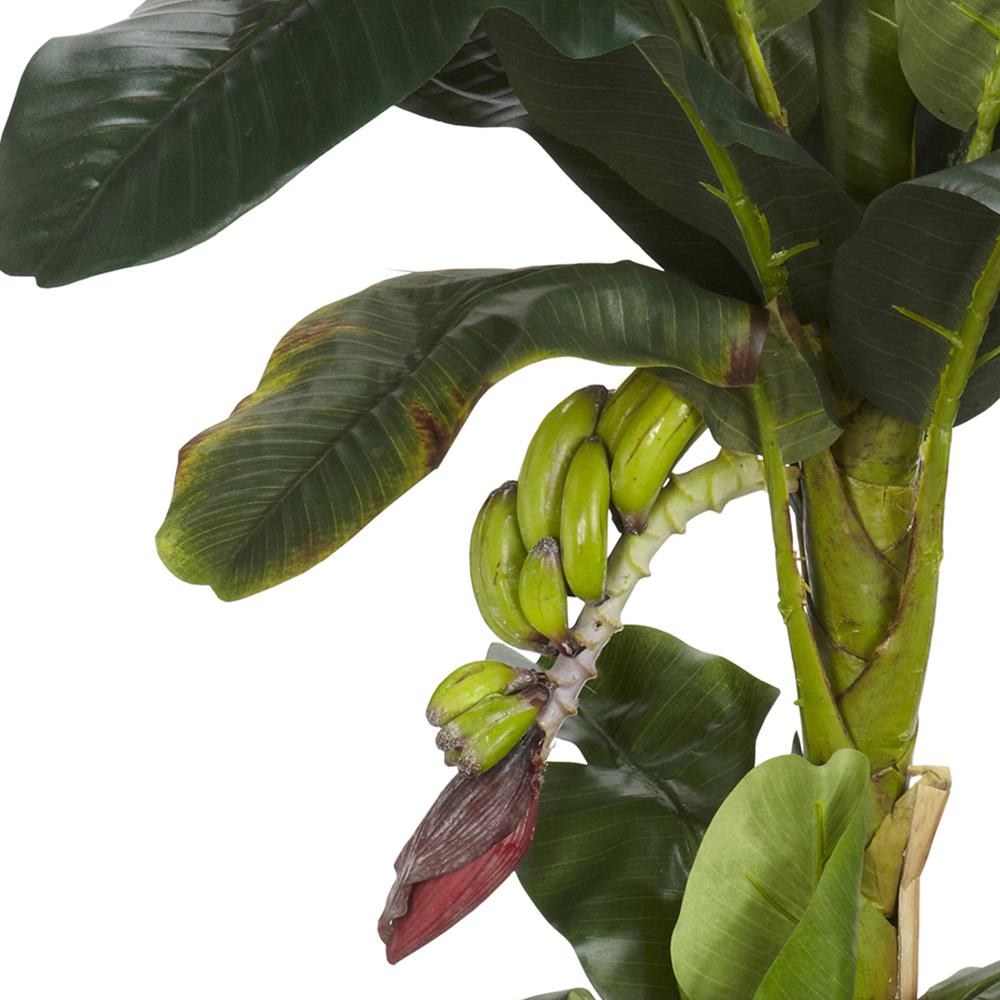 5ft. + 3ft. Banana Silk Tree with Bananas. Picture 3