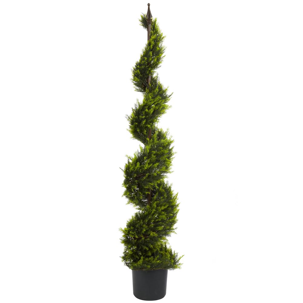 5ft. Cypress Spiral Tree. Picture 1