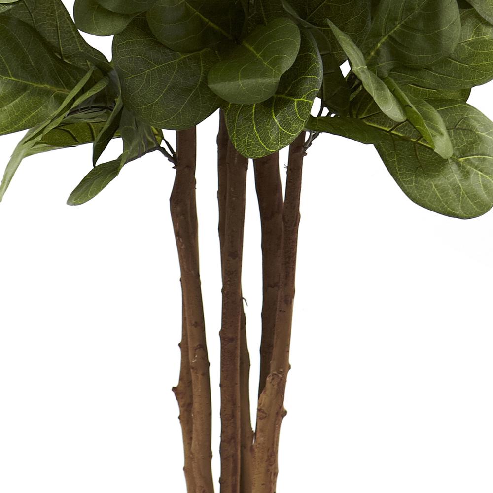 6ft. Fiddle Leaf Fig Tree. Picture 4