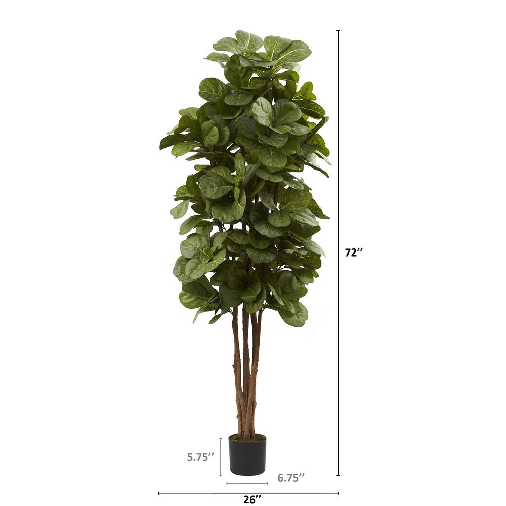 6ft. Fiddle Leaf Fig Tree. Picture 10