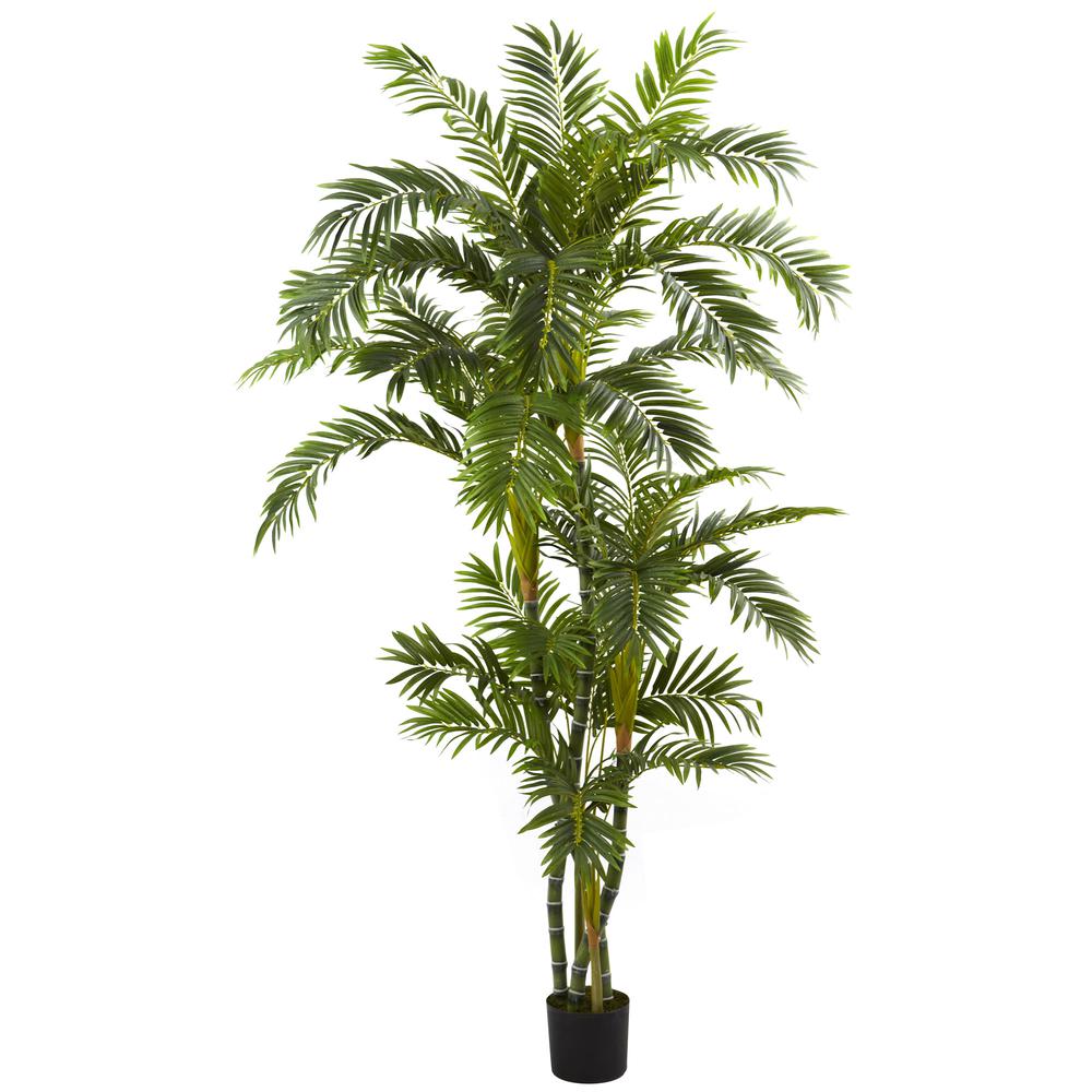6ft. Curvy Parlor Palm Silk Tree. Picture 1