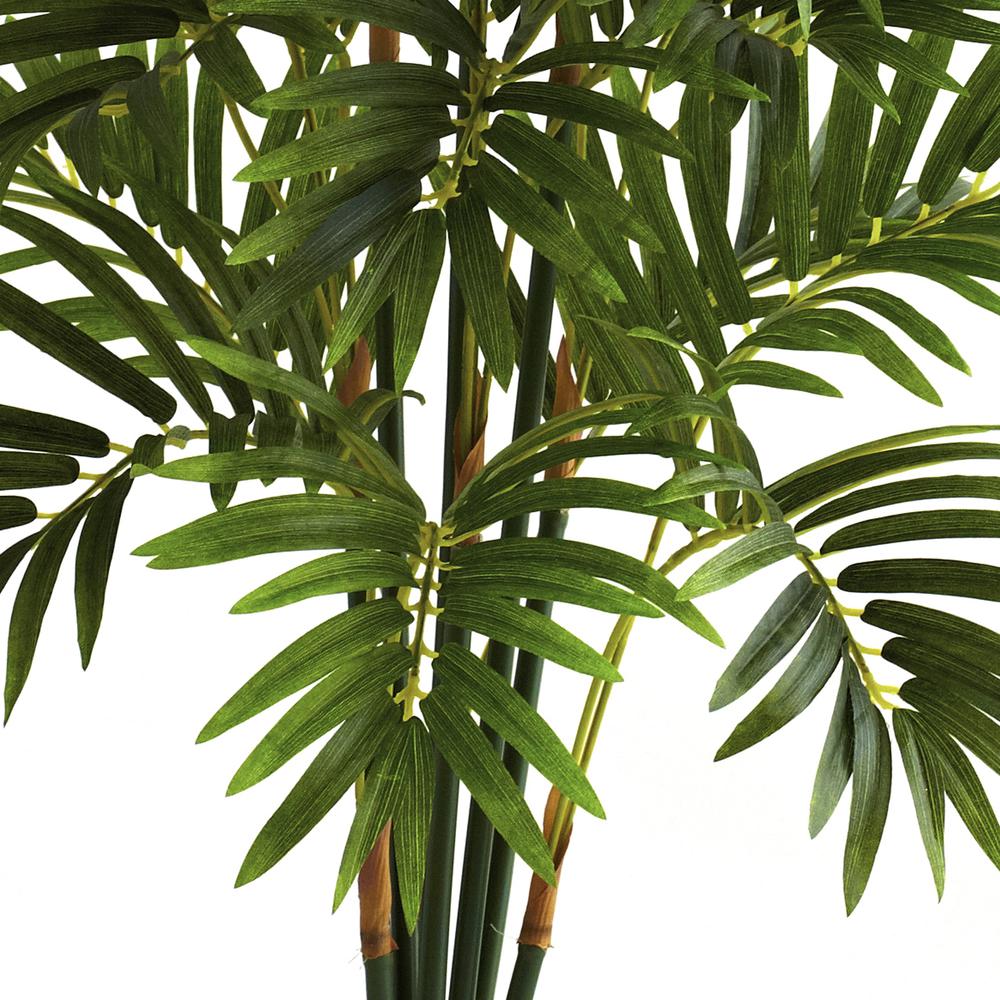 3ft. Areca Palm Tree. Picture 2