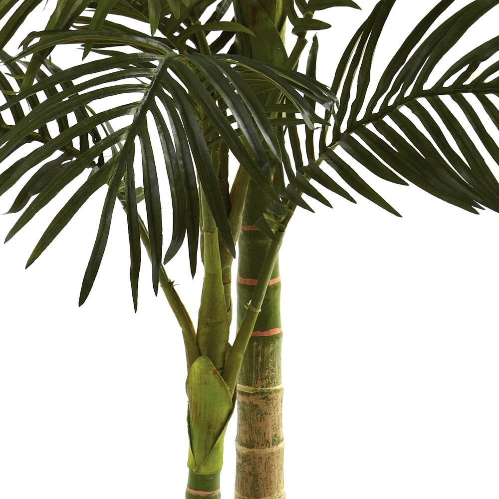5ft. Golden Cane Palm Tree. Picture 7