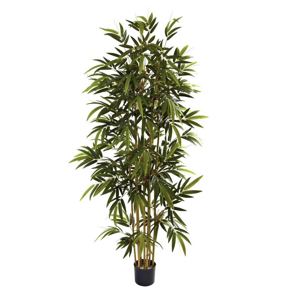 6ft. Bamboo Tree. Picture 1