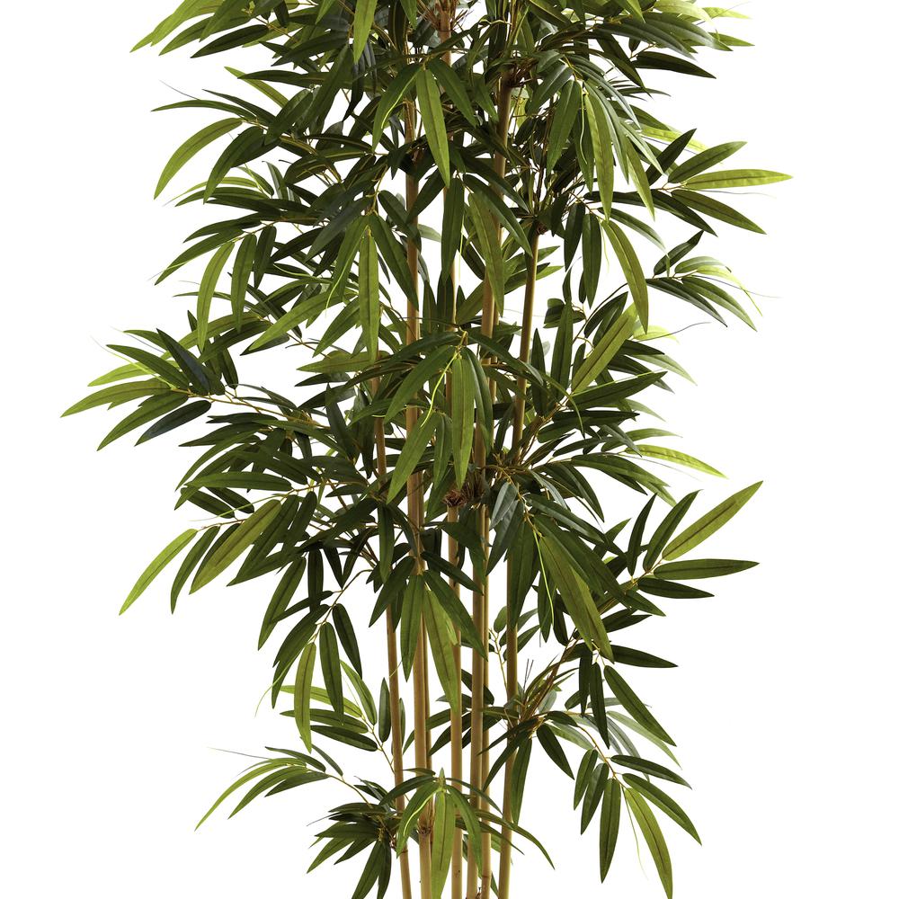 6ft. Bamboo Tree. Picture 4
