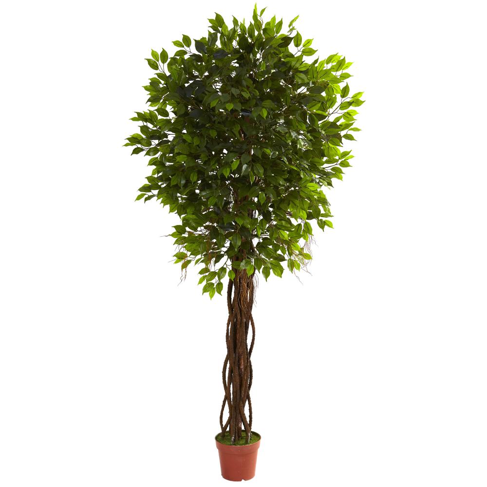 7.5ft. Ficus Tree UV Resistant (Indoor/Outdoor). Picture 1