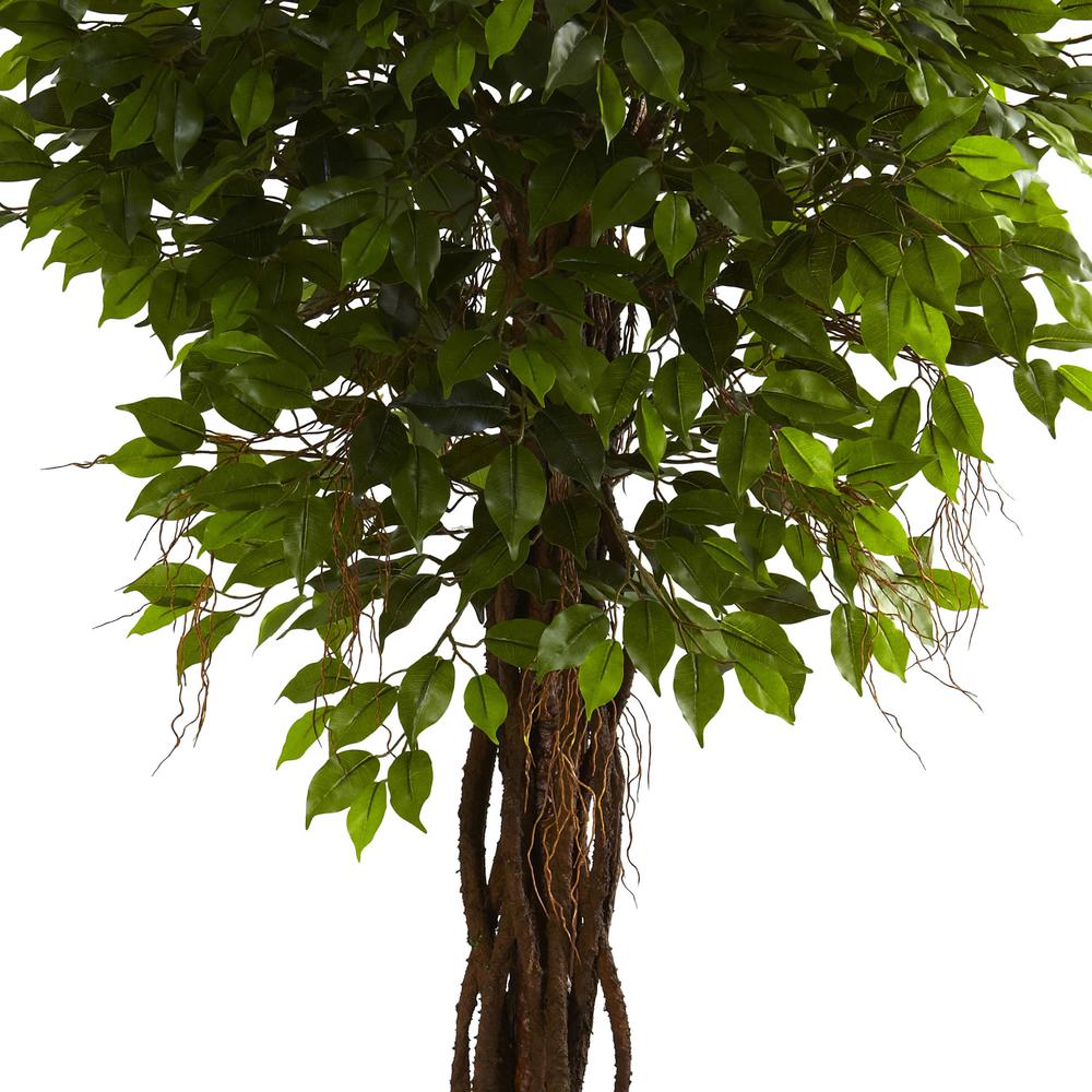 7.5ft. Ficus Tree UV Resistant (Indoor/Outdoor). Picture 2