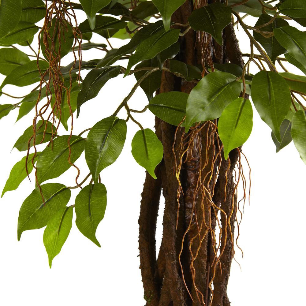 7.5ft. Ficus Tree UV Resistant (Indoor/Outdoor). Picture 5