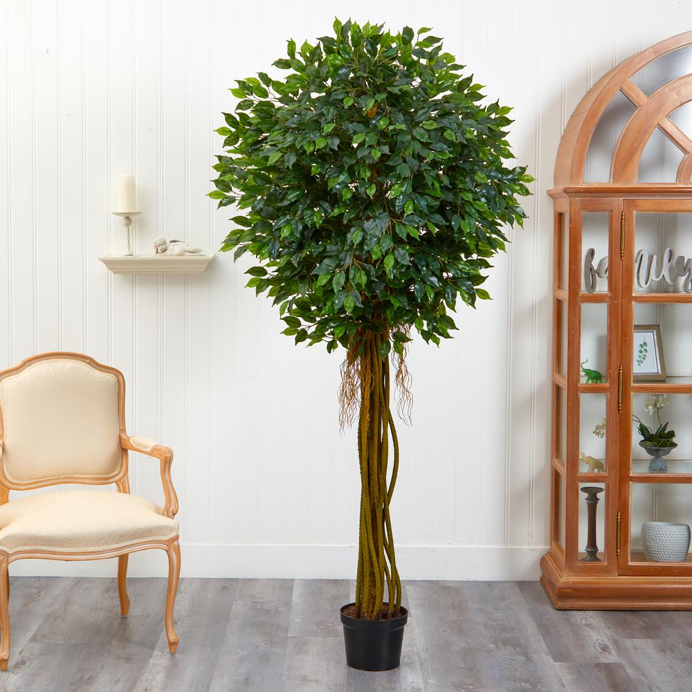 7.5ft. Ficus Tree UV Resistant (Indoor/Outdoor). Picture 4