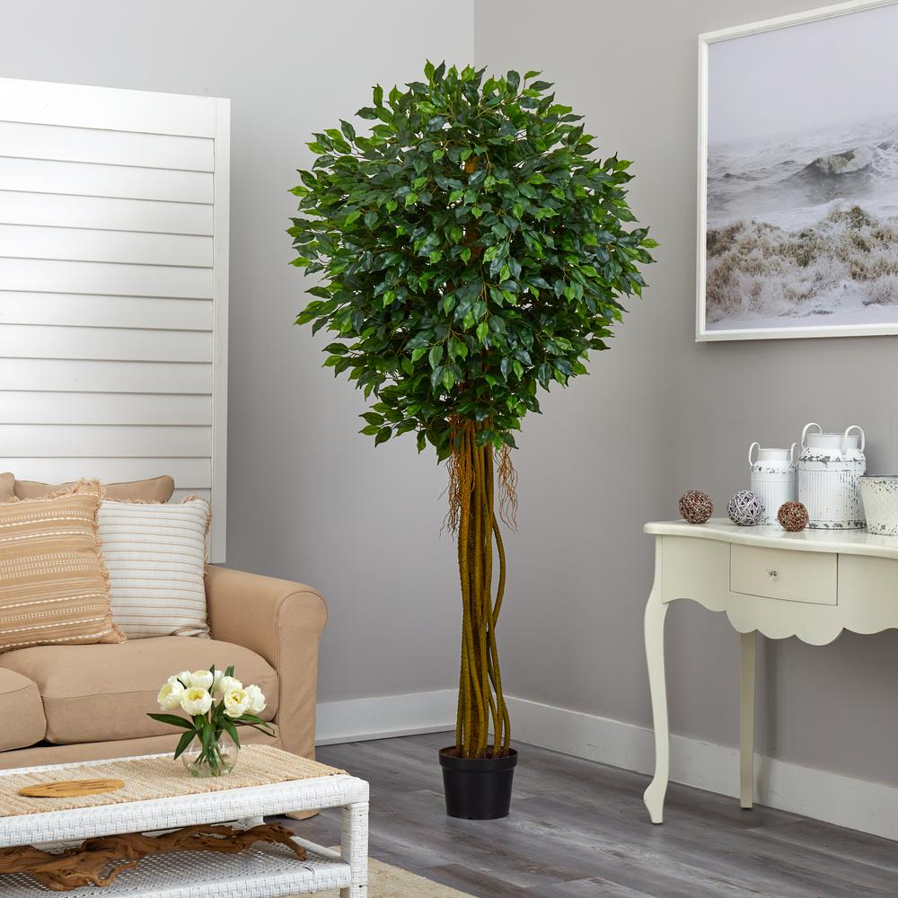 7.5ft. Ficus Tree UV Resistant (Indoor/Outdoor). Picture 3