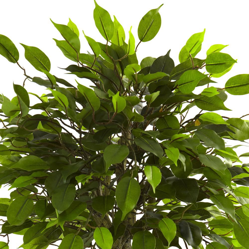 3ft. Ficus Tree UV Resistant (Indoor/Outdoor). Picture 2