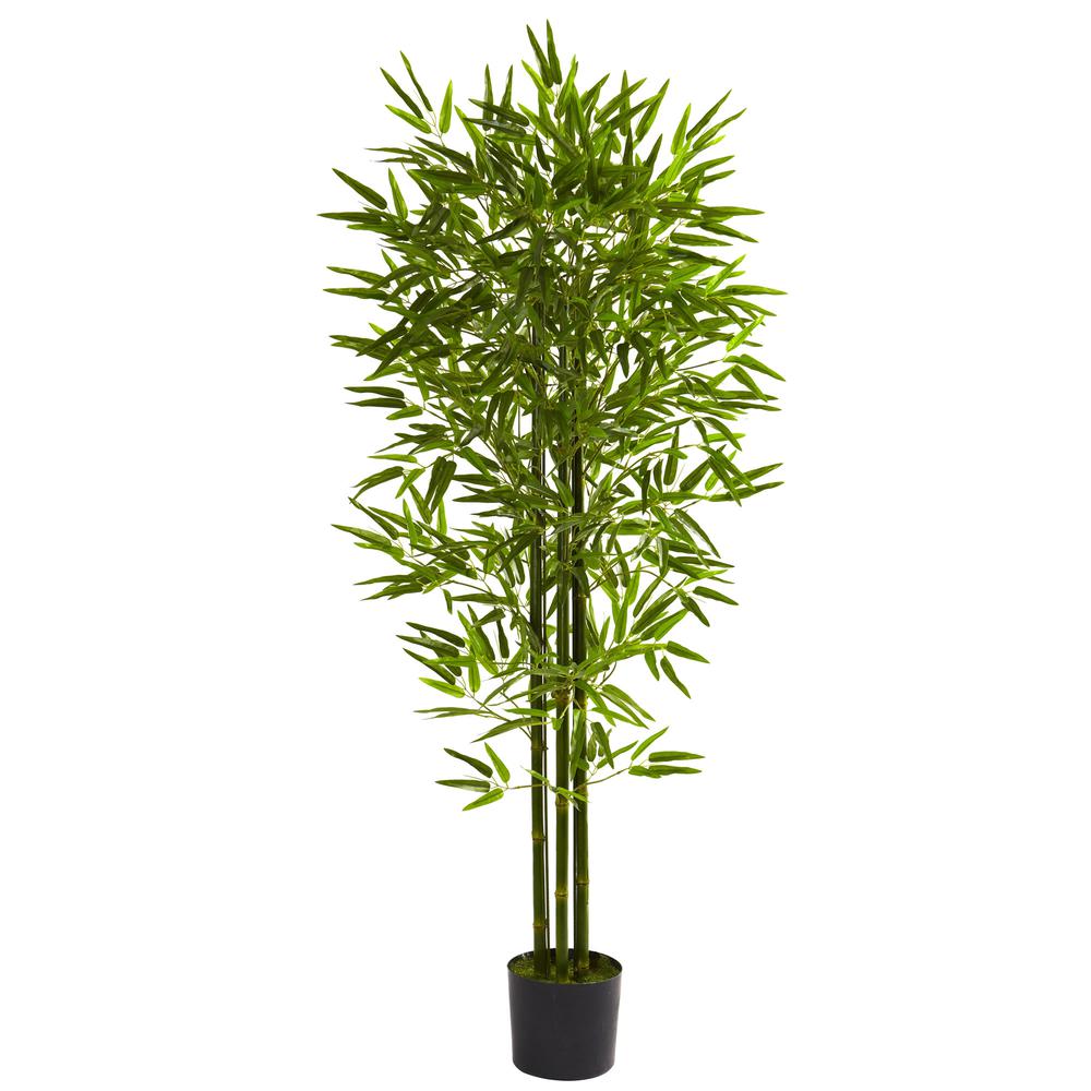 5ft. Bamboo Tree UV Resistant (Indoor/Outdoor). Picture 1