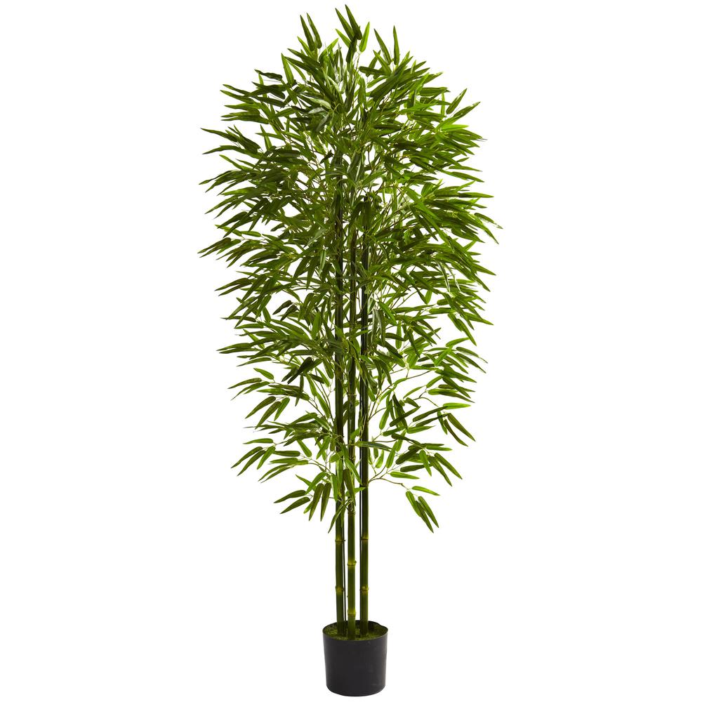 6ft. Bamboo Tree UV Resistant (Indoor/Outdoor). Picture 1