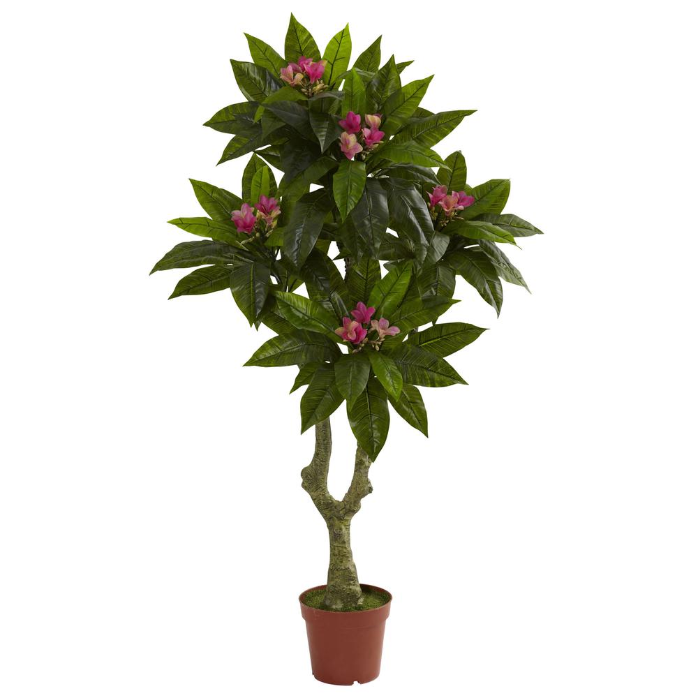 5ft. Plumeria Tree UV Resistant (Indoor/Outdoor). Picture 1