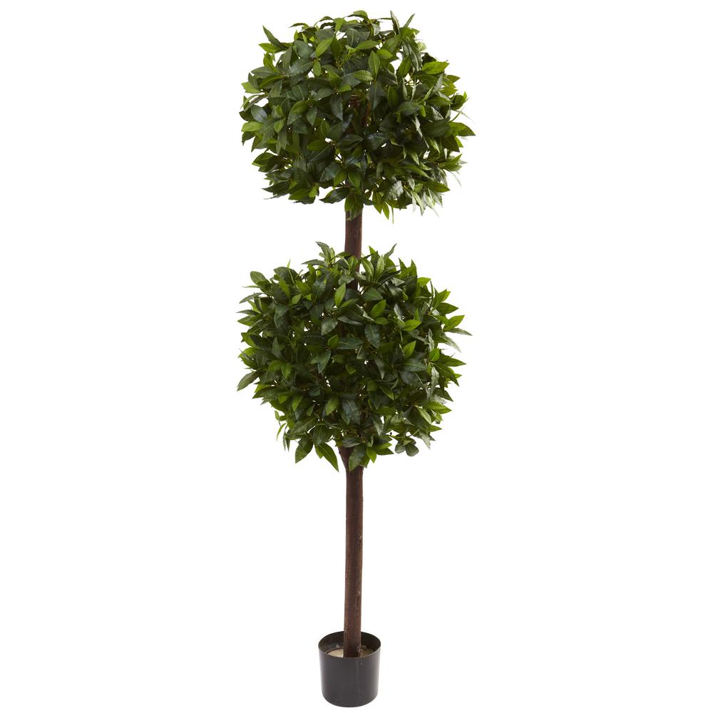 6ft. Sweet Bay Double Ball Topiary. Picture 1