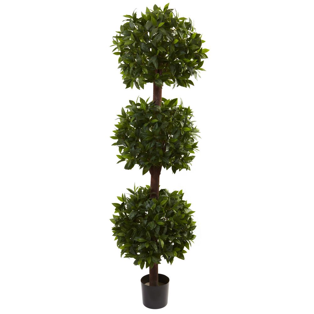 6.5ft. Sweet Bay Triple Ball Topiary. Picture 1