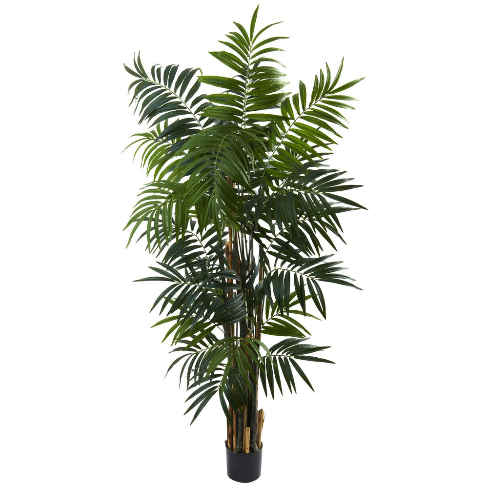 6ft. Bulb Areca Palm Tree. Picture 1