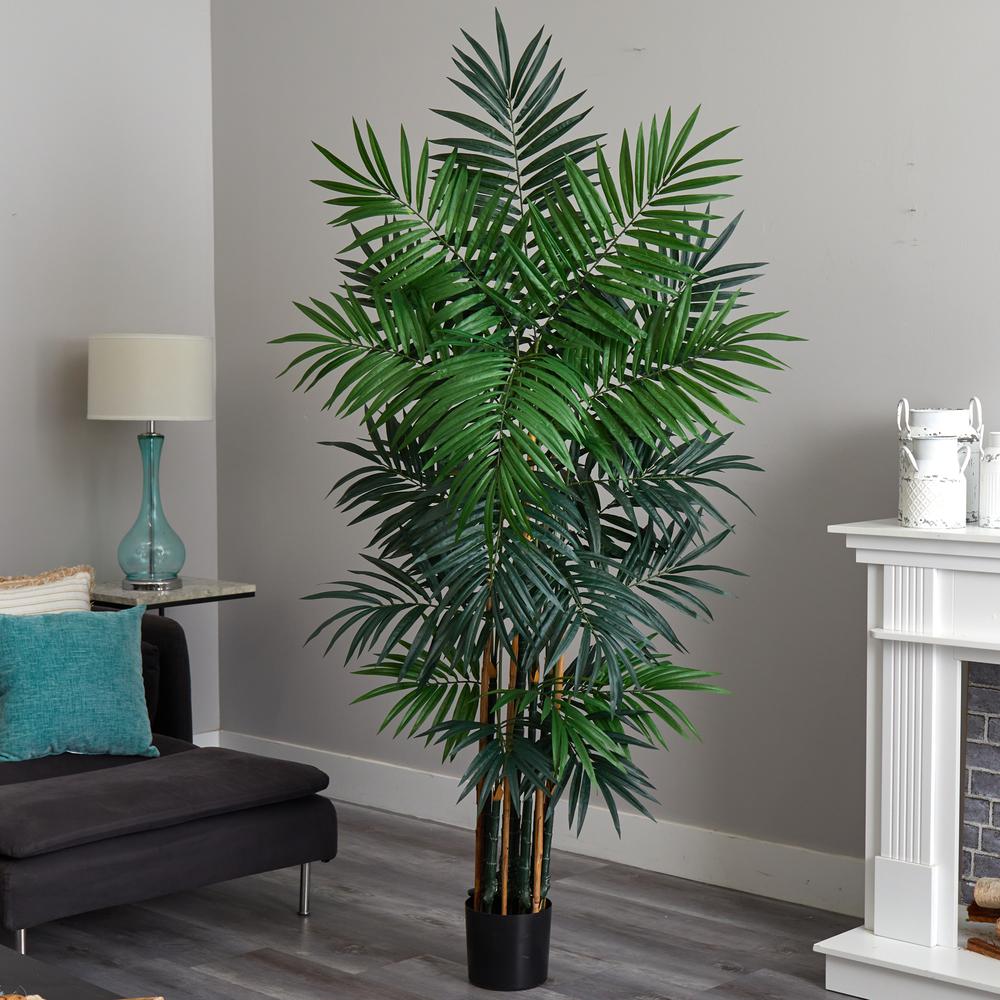 6ft. Bulb Areca Palm Tree. Picture 2
