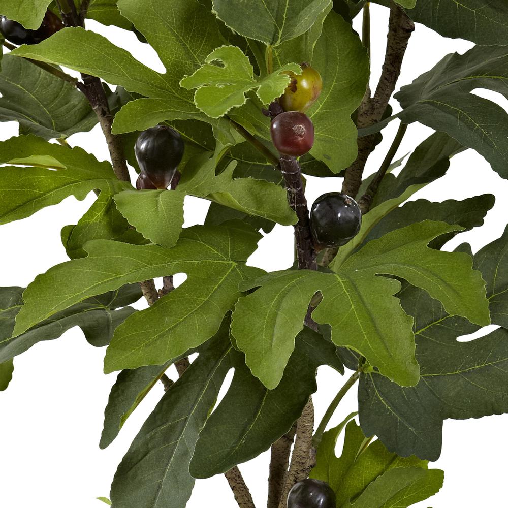 32in. Fig Tree with 15 Figs. Picture 3