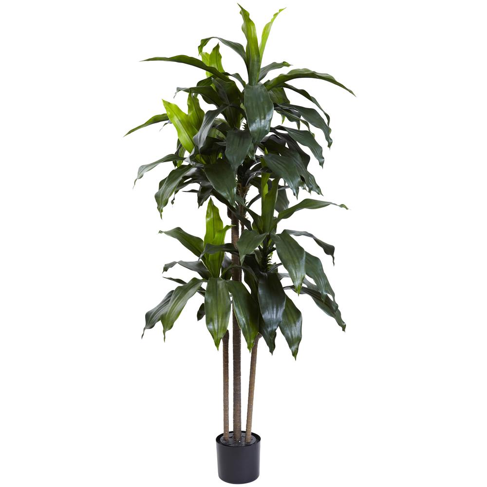 5ft. Dracaena Plant UV Resistant (Indoor/Outdoor). Picture 1