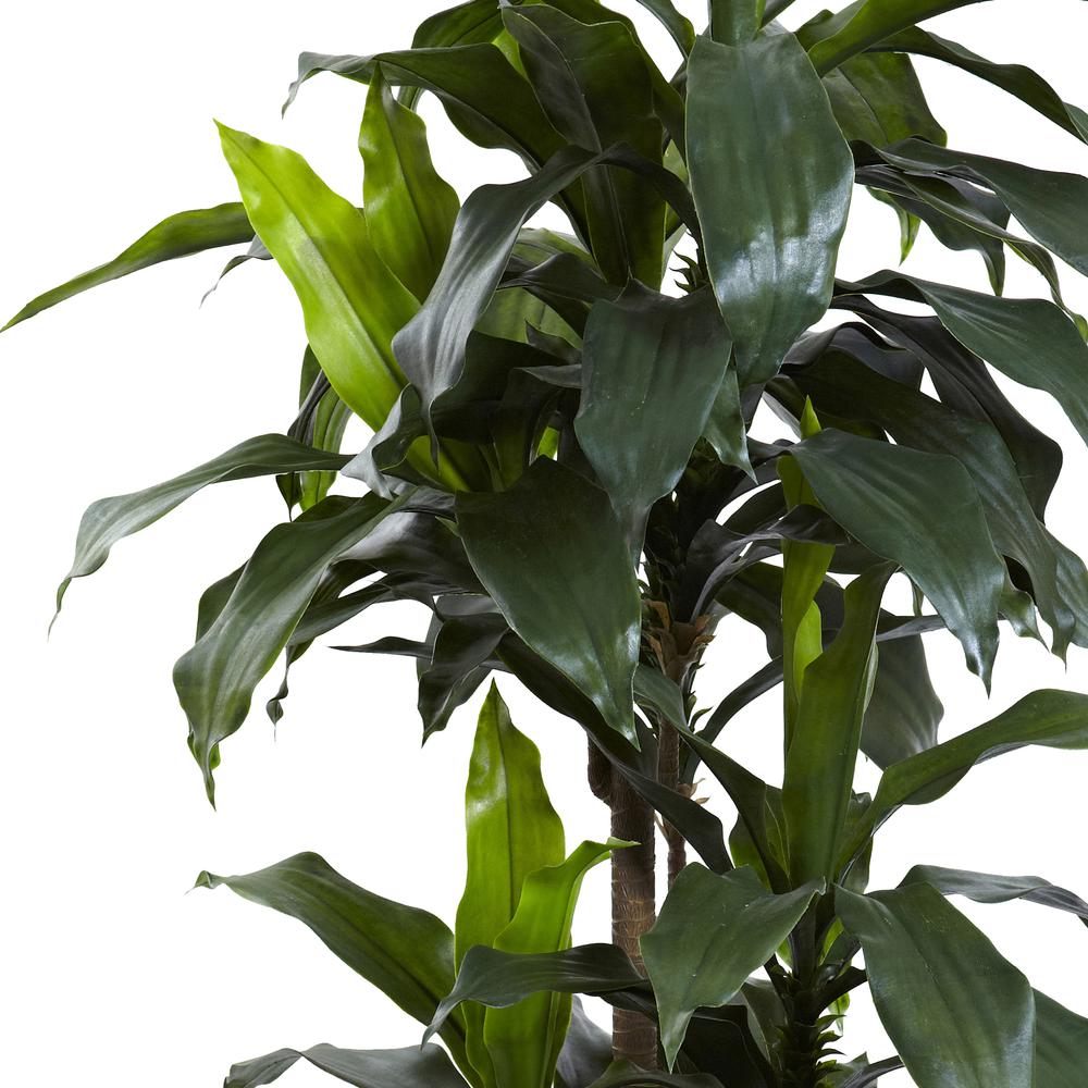 5ft. Dracaena Plant UV Resistant (Indoor/Outdoor). Picture 2