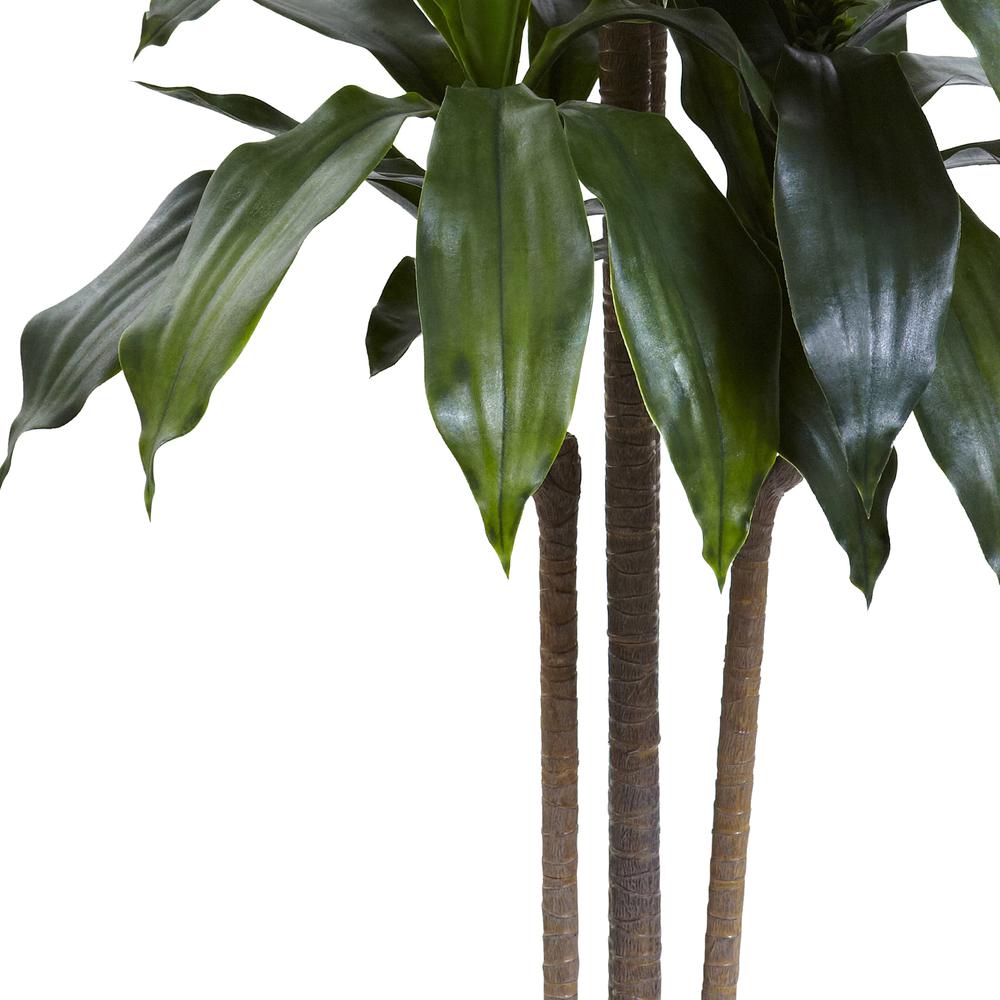 5ft. Dracaena Plant UV Resistant (Indoor/Outdoor). Picture 3