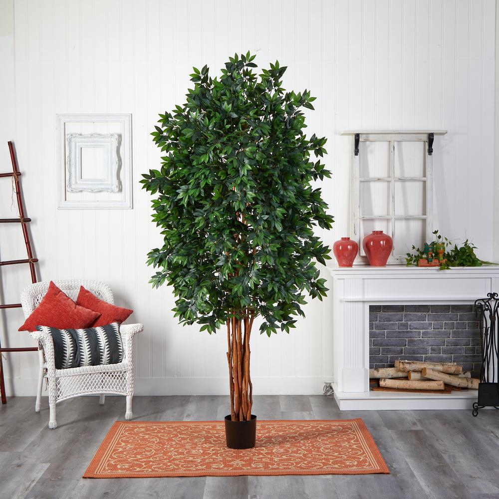 7.5ft. Lychee Silk Tree. Picture 4