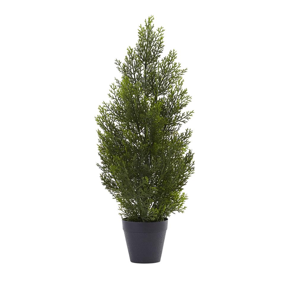 2ft. Mini Cedar Pine Tree (Indoor/Outdoor). Picture 1