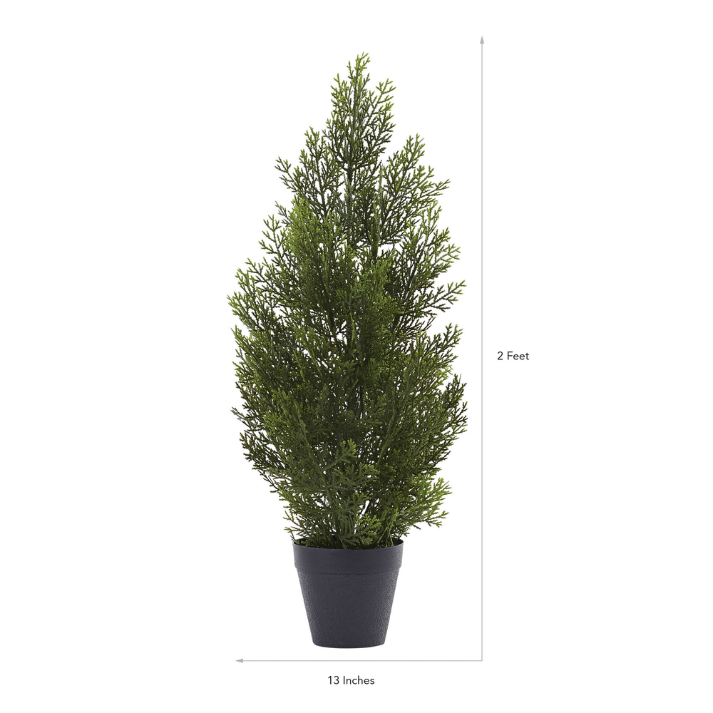 2ft. Mini Cedar Pine Tree (Indoor/Outdoor). Picture 3