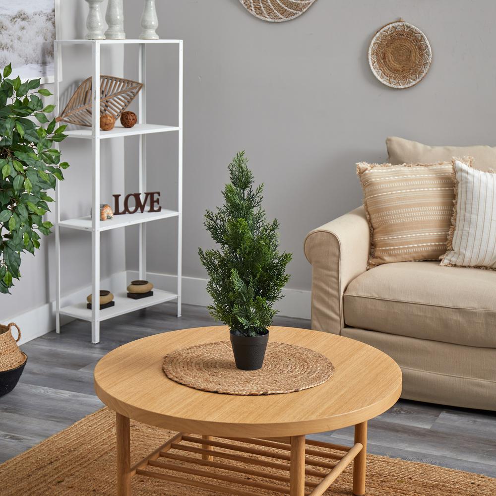 2ft. Mini Cedar Pine Tree (Indoor/Outdoor). Picture 4