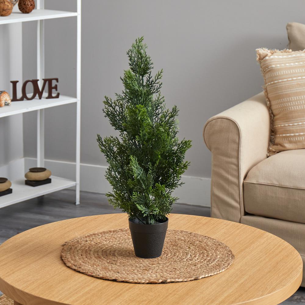 2ft. Mini Cedar Pine Tree (Indoor/Outdoor). Picture 2